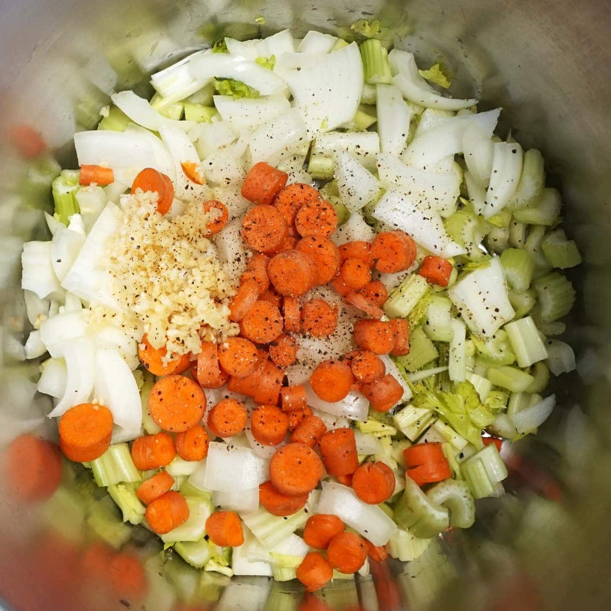 Ingredients to put in the soup: celery, carrots, onion, garlic